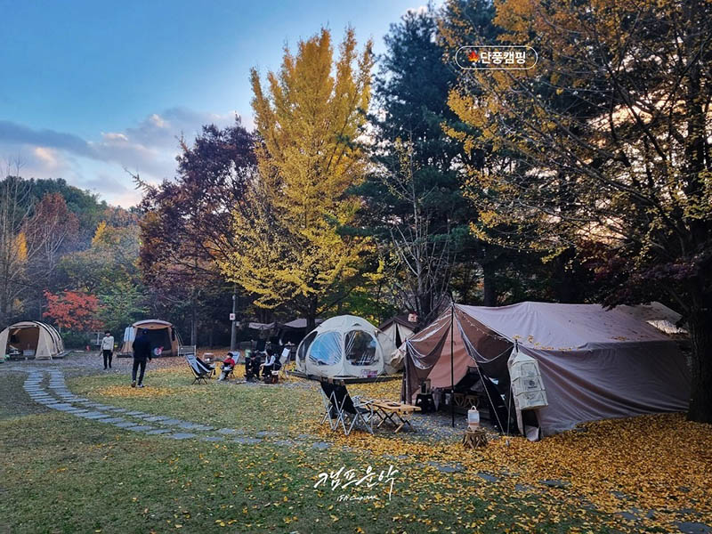 포천 캠프운악 캠핑장 소개