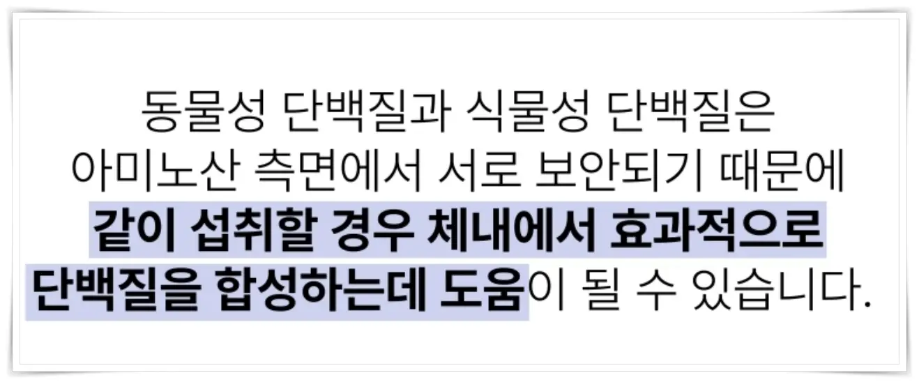 균형잡힌 동물성 식물성단백질 배합