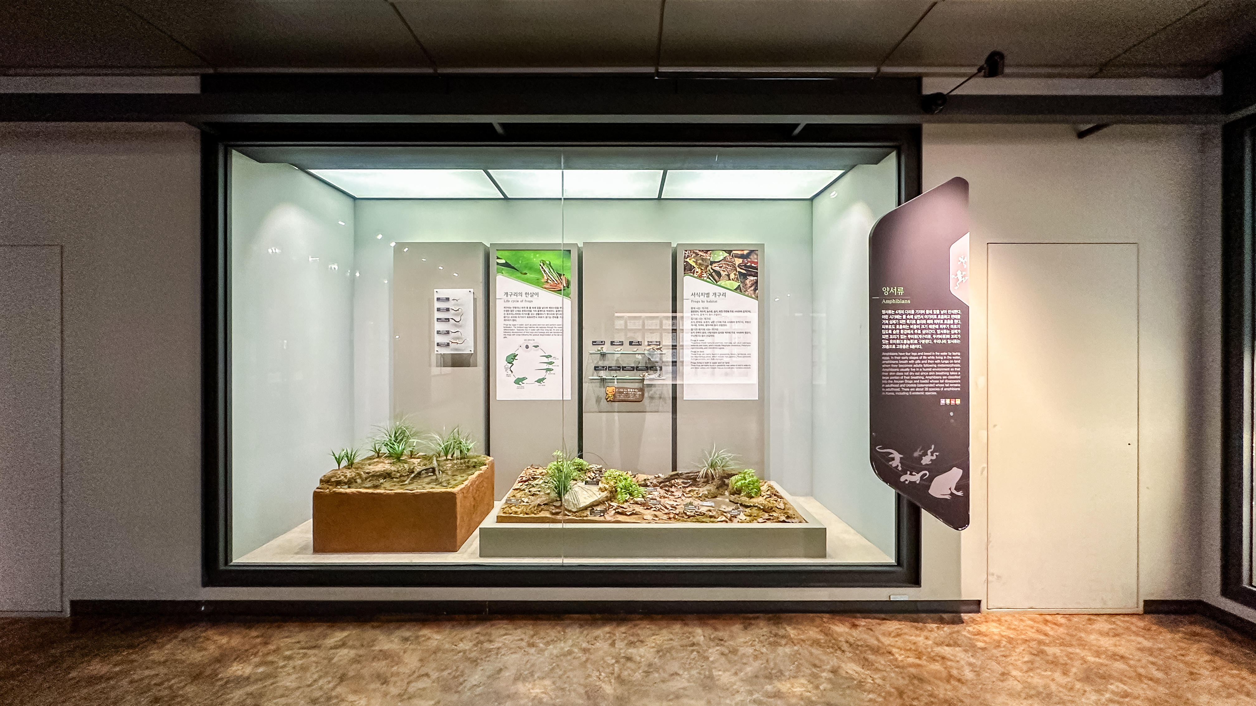 국립 중앙 과학관