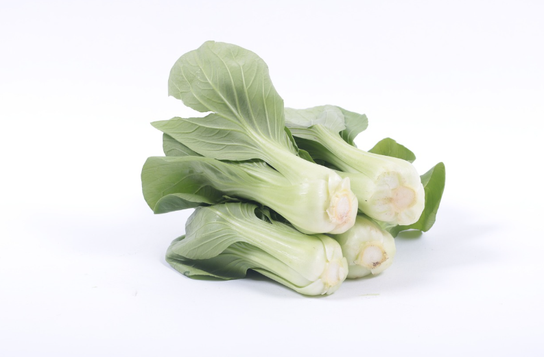 4월에 심는 작물 추천 리스트