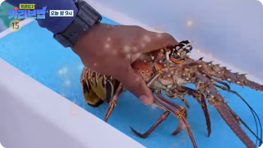 출처 정글밥2 카리브밥