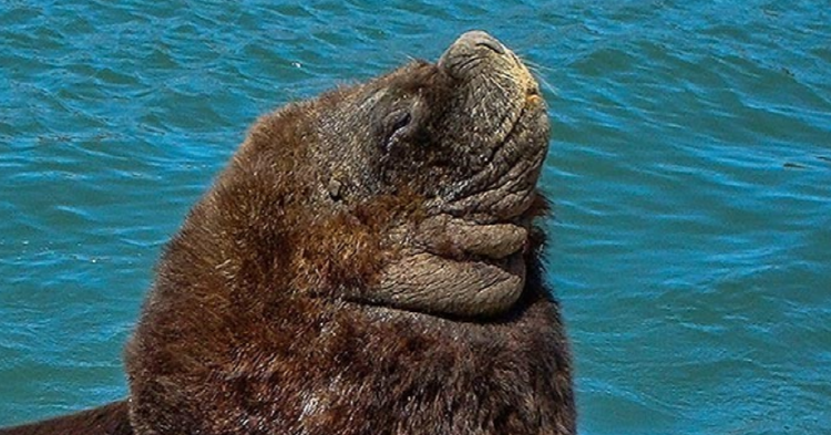 아라마루 아쿠아리움