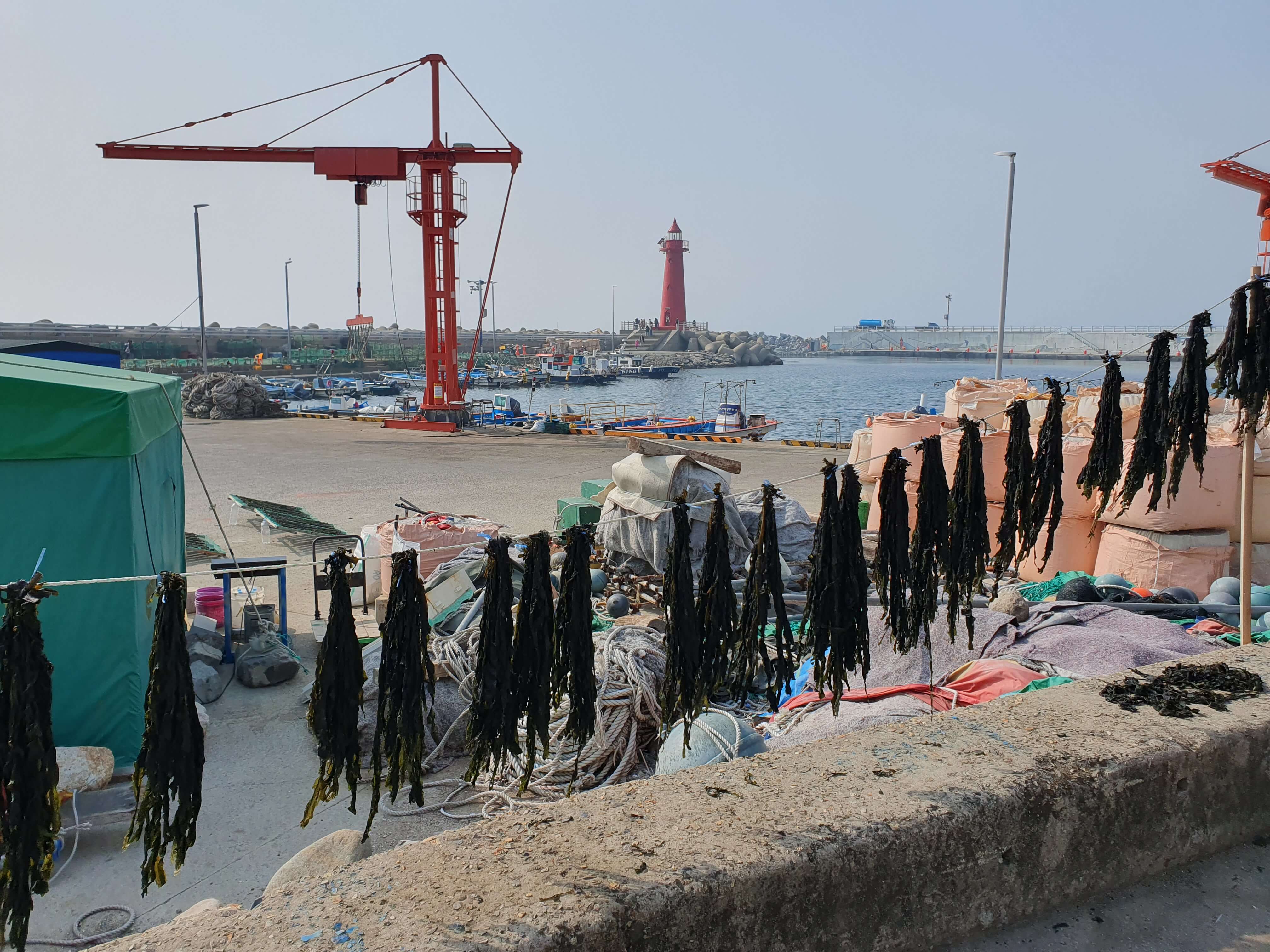 청사포 공영주차장(해운대해수욕장) 청사포어항북방파제등대