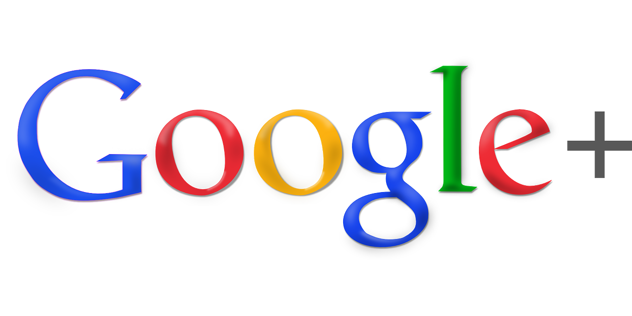 구글포토 관련사진