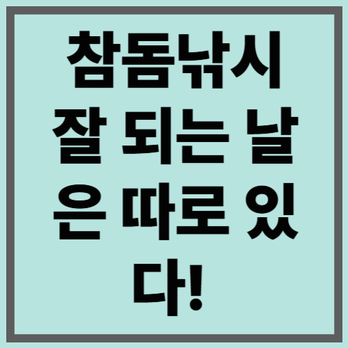 참돔낚시 잘 되는 날은 따로 있다!