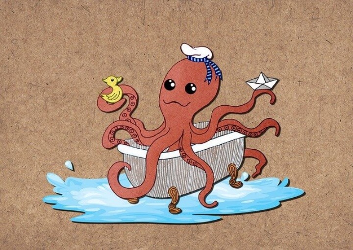 octopus