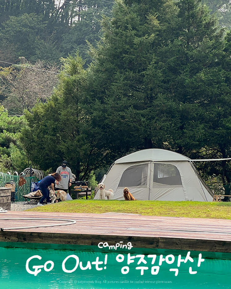 고아웃캠핑장 썸네일