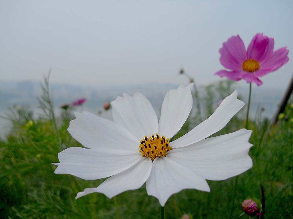 걷고 사랑: 상암동 노을공원