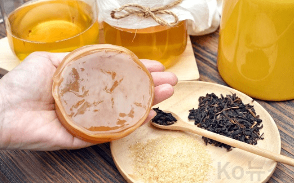 콤부차의-효능-및-배양하는법