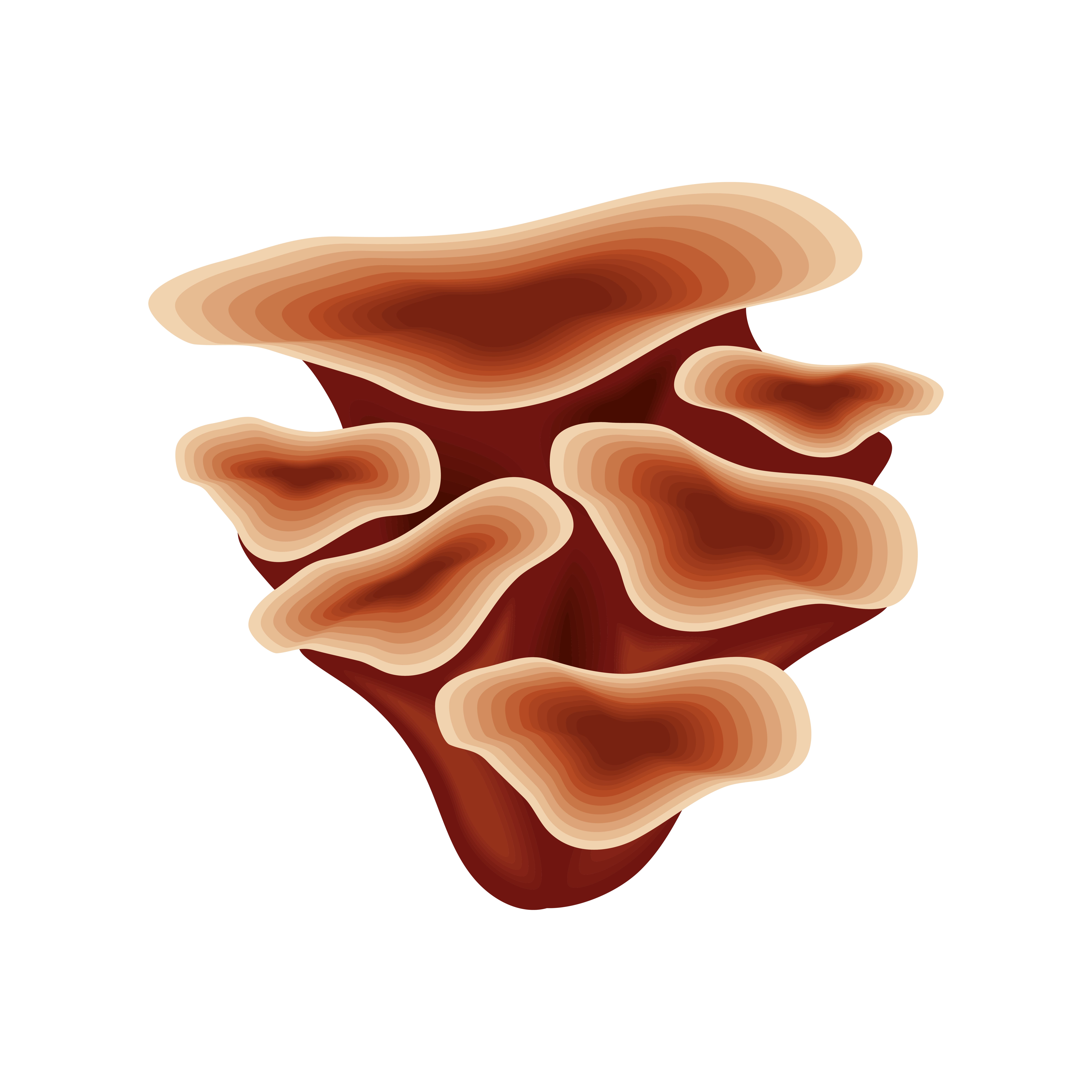 영지버섯 일러스트