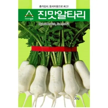 알타리무 파종시기 수확 정리자료_8