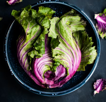 용종제거 보험청구 서류 실비보험 용종제거후 식사 음주 음식