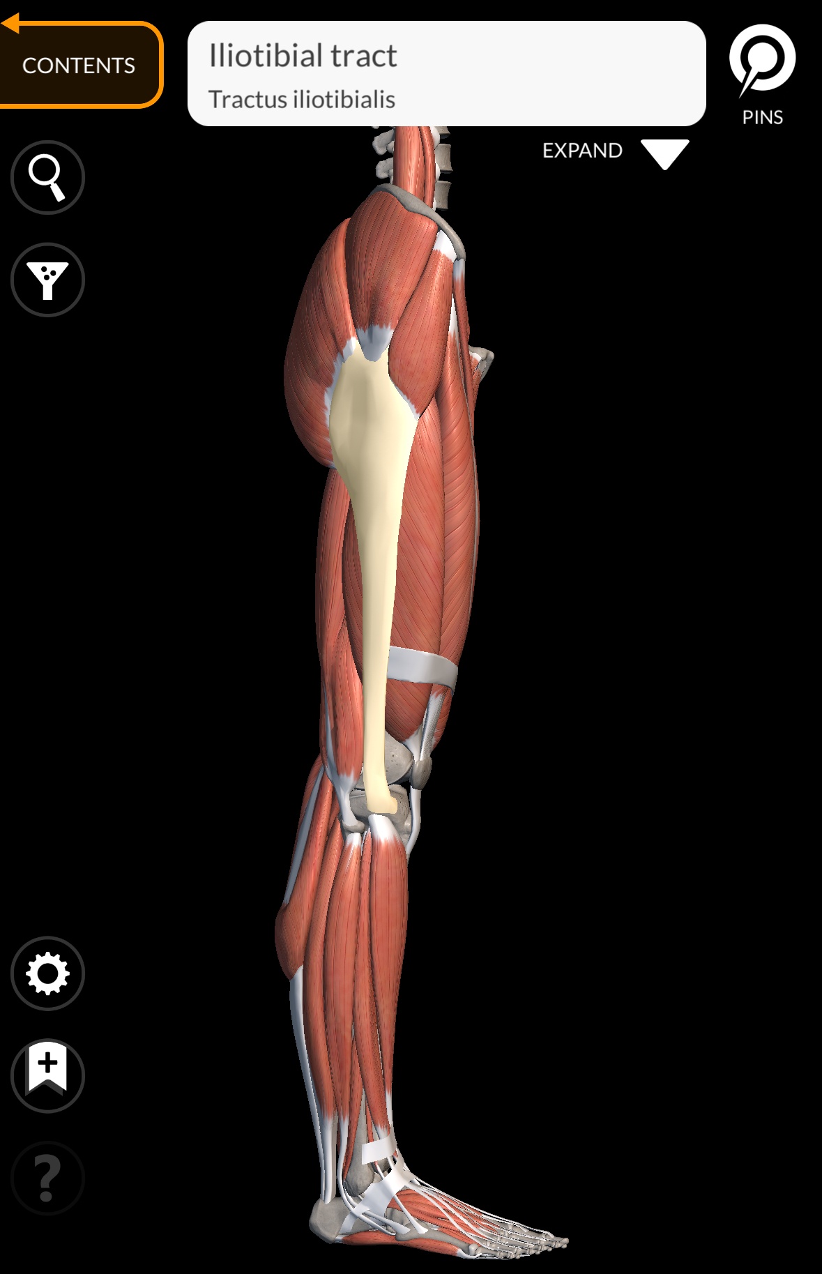 러닝 후 피로 회복을 돕는 폼롤러 마사지 루틴 &ndash; 효과적인 근육 회복법