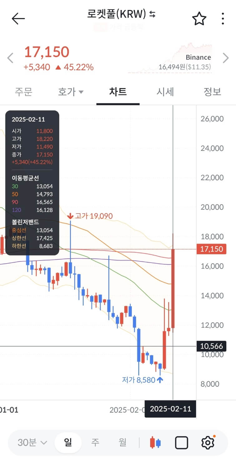 로켓풀 코인 시세 전망