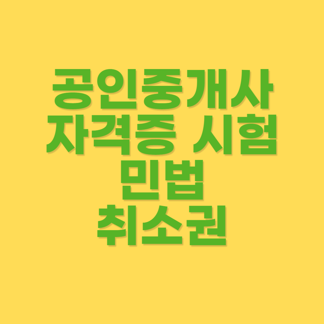 민법 취소권