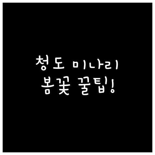 3월 청도 여행 한재미나리 축제와 봄..