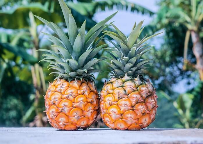 잎사귀까지 있는 작은 크기의 파인애플 두개