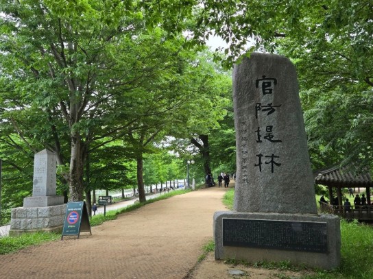 아이들과 아이랑 함께 담양 가볼만한곳 베스트10 관방제림