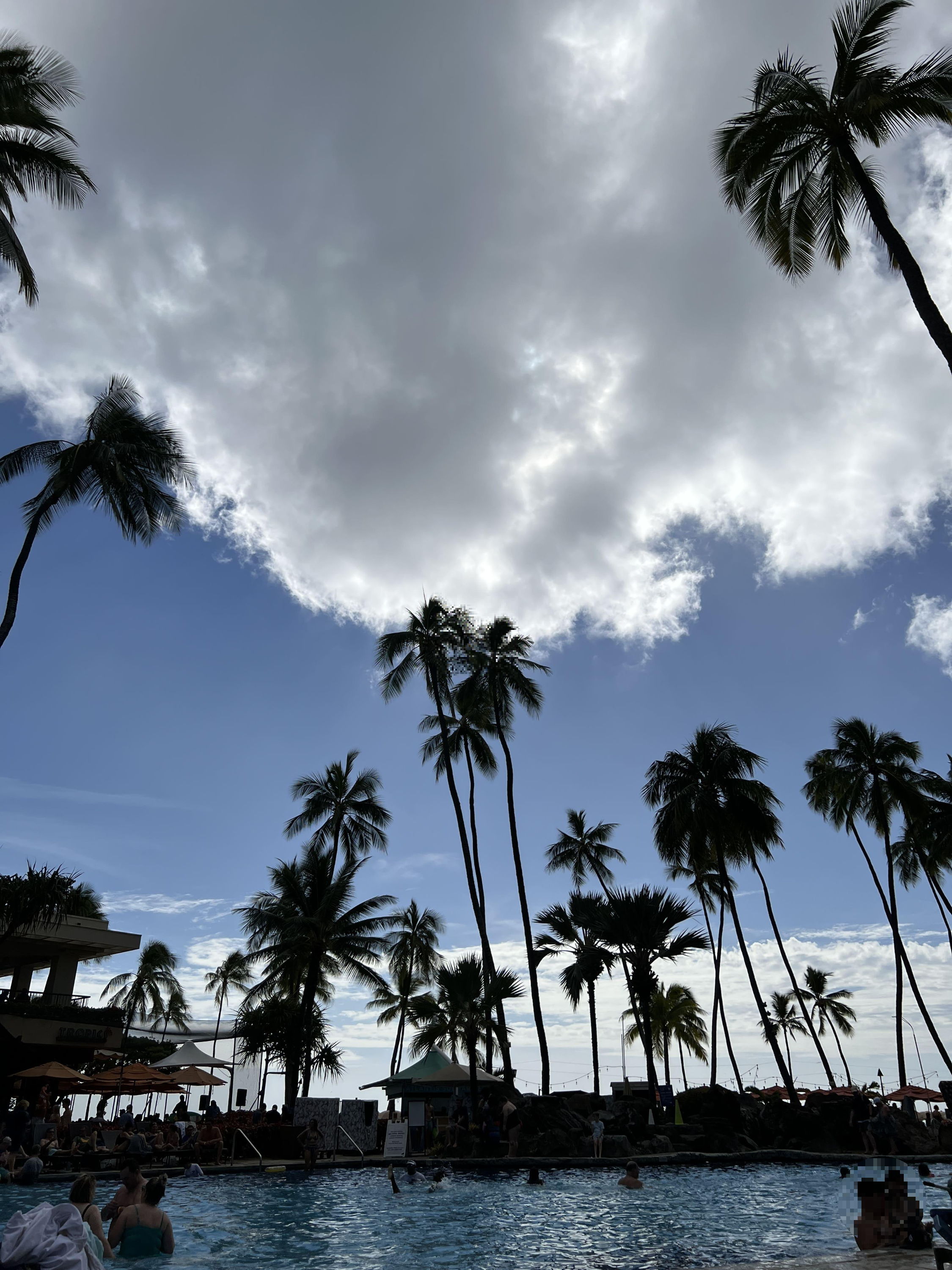 크리스마스-하와이여행-힐튼-와이키키-브런치