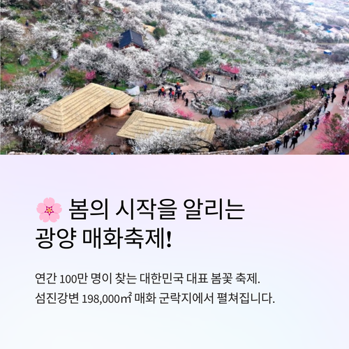 2025 광양 매화축제 정보