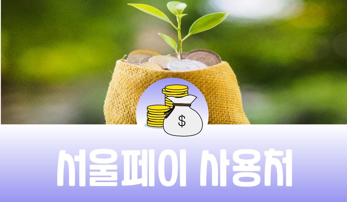 서울페이 사용처