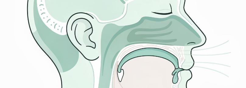 수면 무호흡증 치료