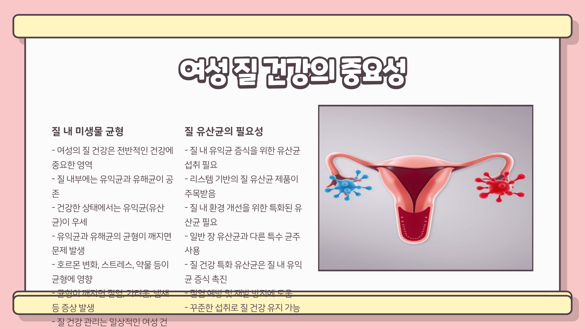 리스펙타 질 유산균 ❘ 여성 질 건강에 도움 되는 유산균 완벽 가이드