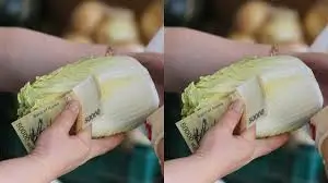 경남도민-생활지원금 