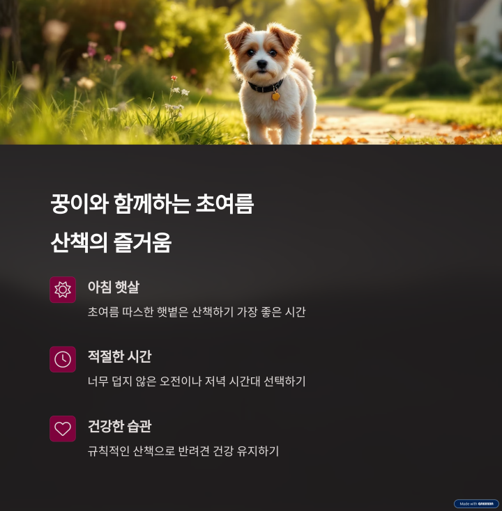 강아지산책 시작