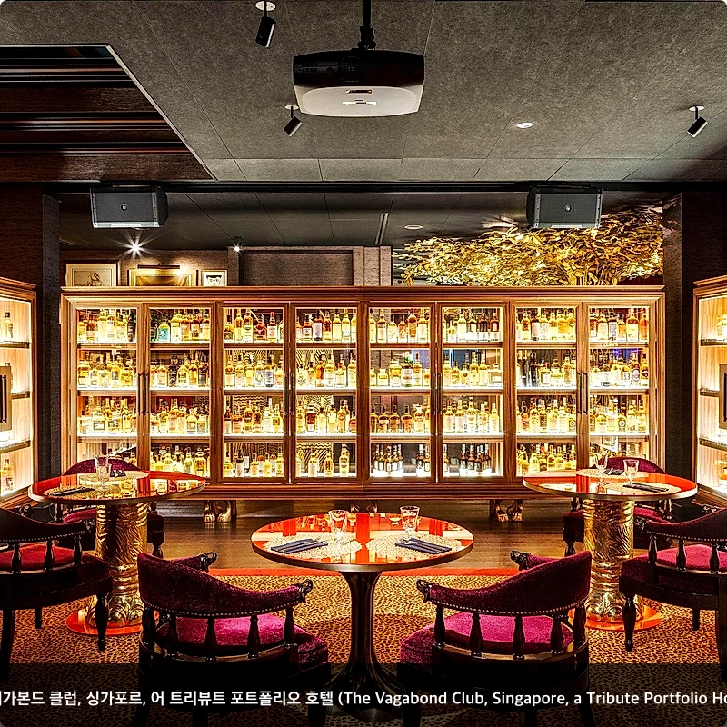 더 배가본드 클럽, 싱가포르, 어 트리뷰트 포트폴리오 호텔 (The Vagabond Club, Singapore, a Tribute Portfolio Hotel)_4