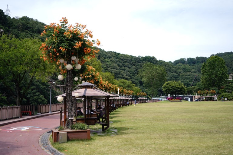 뿌리공원 캠핑장 예약 안내 - 대전 도심 속 자연 캠핑 명소!