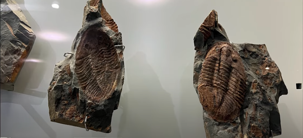 어린이날과 어버이날&amp;#44; 5월의 가족나들이를 위한 톱 5