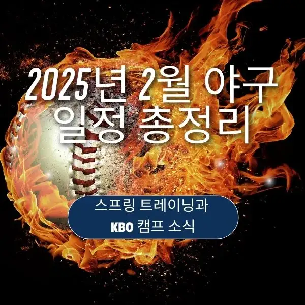 2025년 2월 야구 일정
