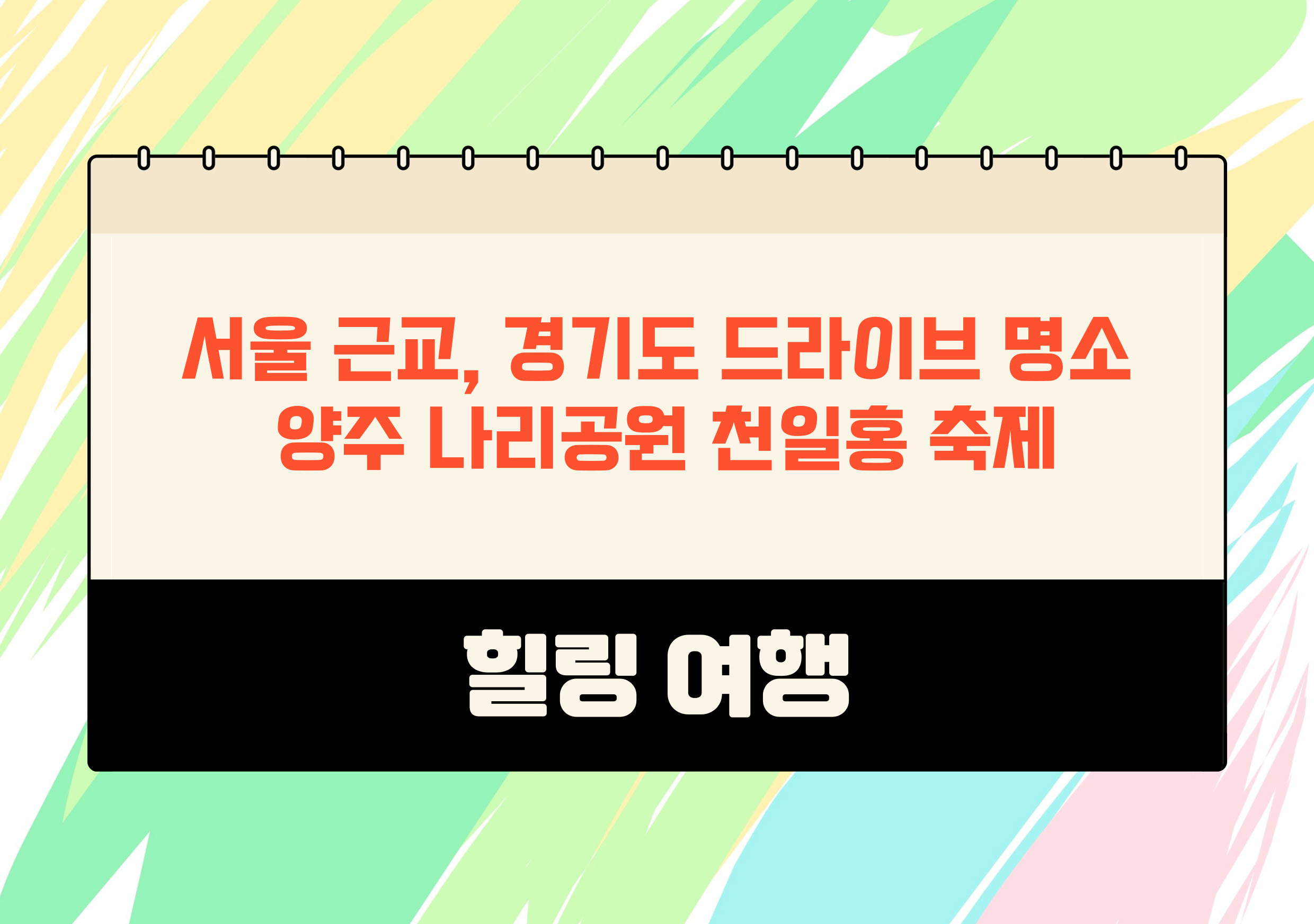 2024 경기도 양주 천일홍 축제 나리공원