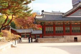 덕수궁 미술관 돌담길 맛집 석조전 돈덕전 입장료_24