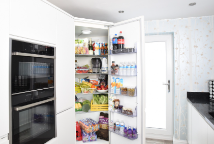 냉장고 냉동실 고장원인