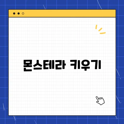 몬스테라 키우기, 물주기 예쁘게 관리하는 꿀팁