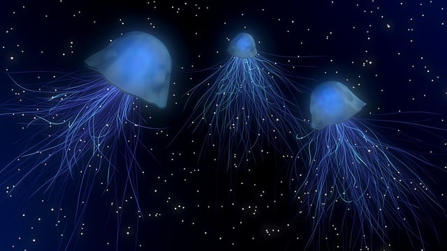 초파리 트랩 만들기 &amp;#124; 쉽게 해결하는 방법 8