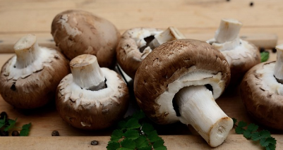 영양 만점의 버섯의 효능