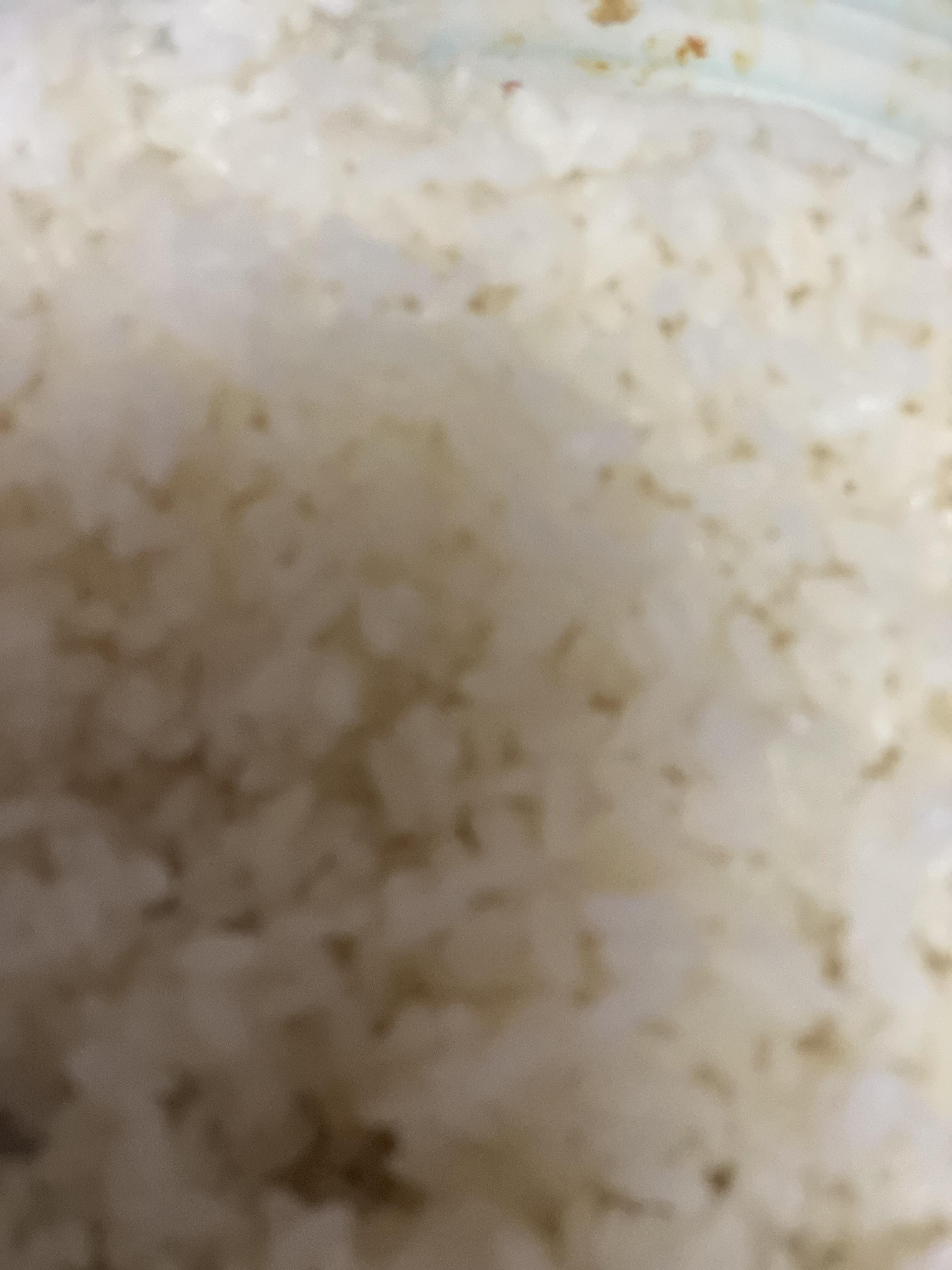 Alt 속성 문제 해결 설명 이미지