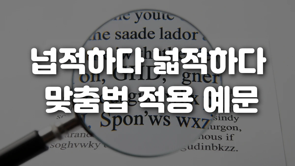넙적하다 넓적하다 맞춤법 적용 예문