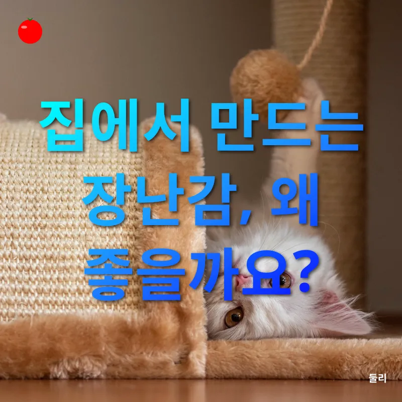 반려동물 장난감 만들기_3