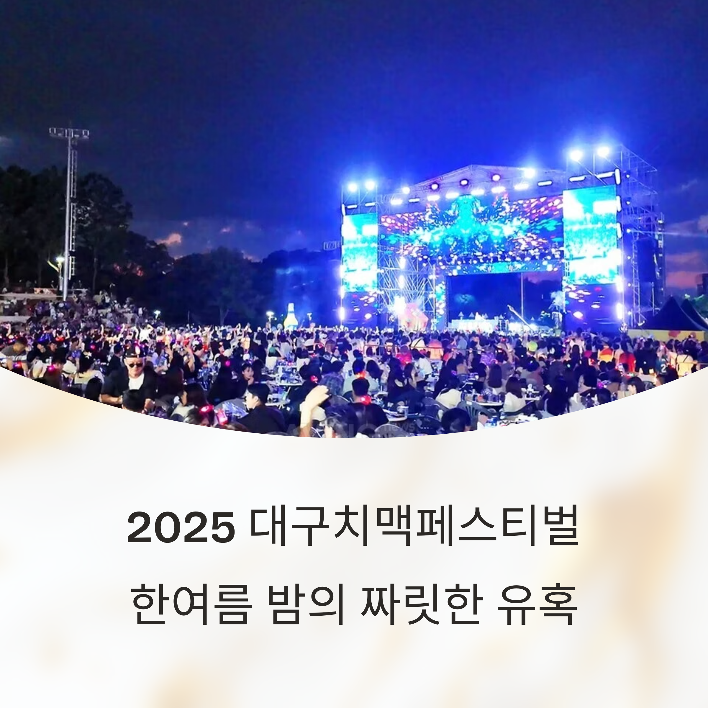 2025년 대구치맥페스티벌일정