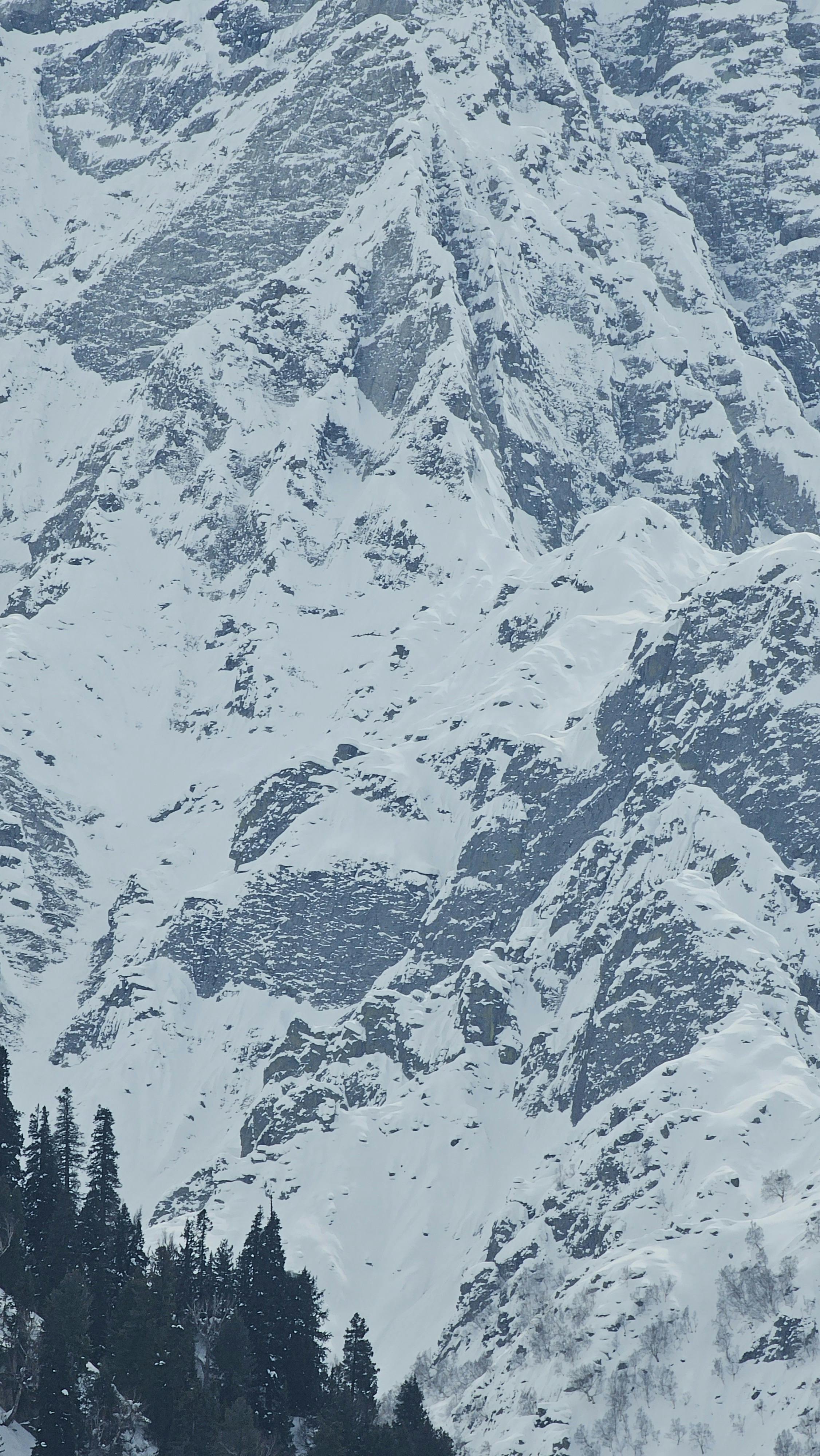 태어난 김에 시즌4