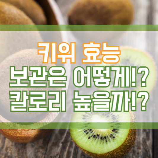 키위 효능, 보관은 어떻게!? 칼로리 높을까!?