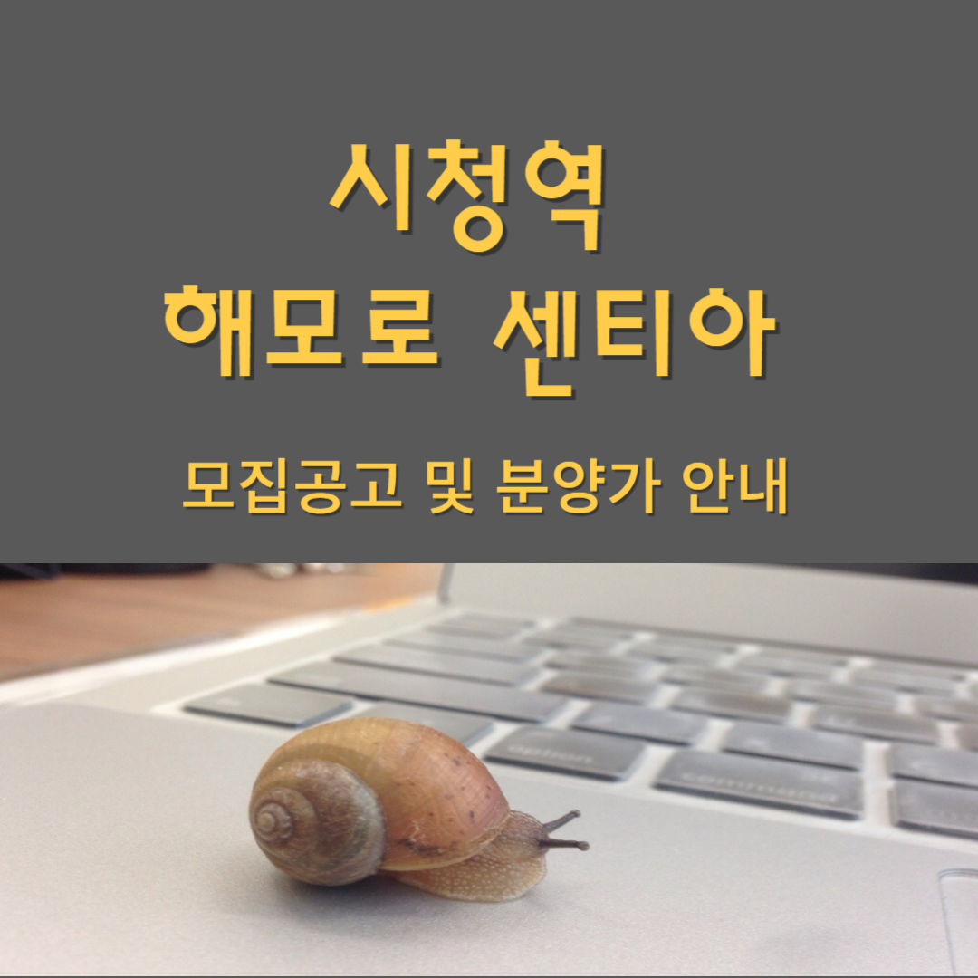 시청역 해모로 센티아 모집공고