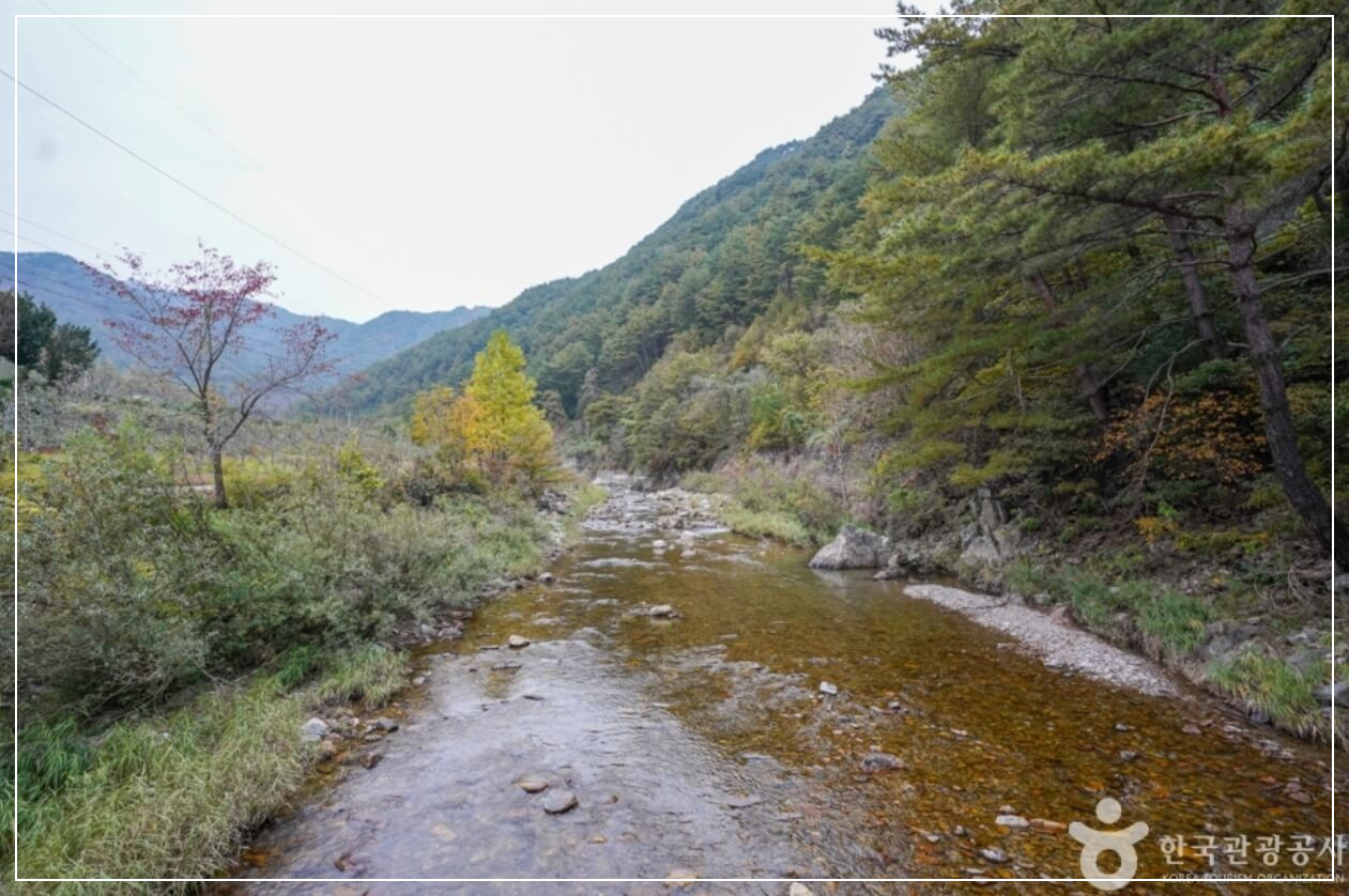 봉화 가볼만한곳 베스트10 고선계곡