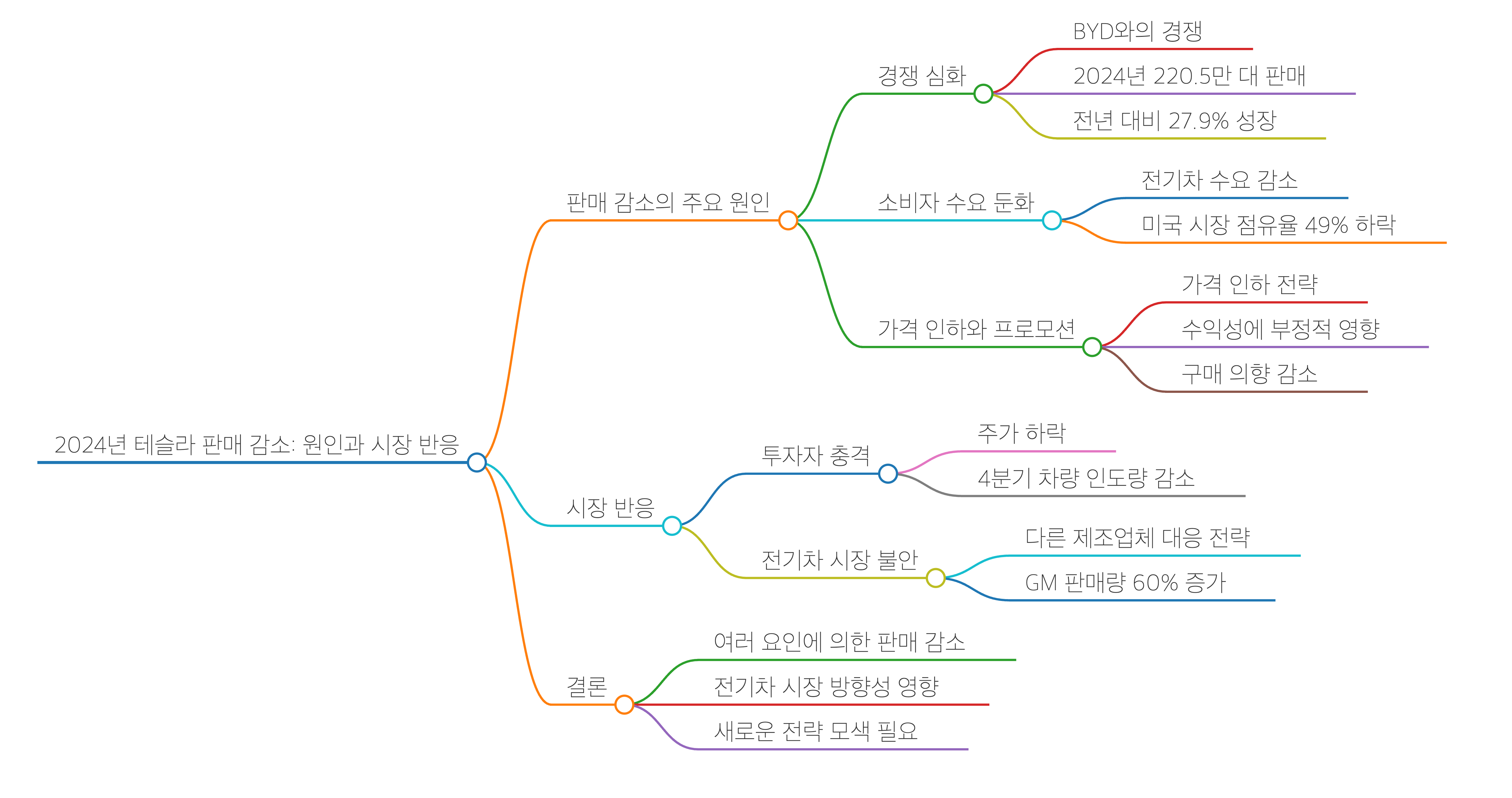 2024년 테슬라 판매 감소 - 마인드맵