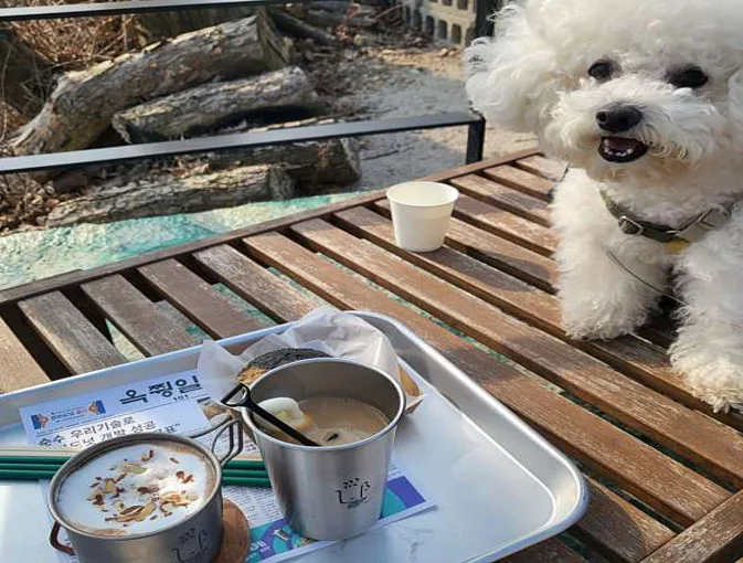 옥쭹가든