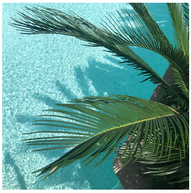 2025 여름휴가 어디로 갈까요